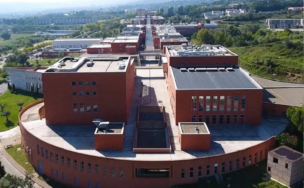 Sedici Docenti Unical Tra I Migliori Scienziati Al Mondo Nel Ranking