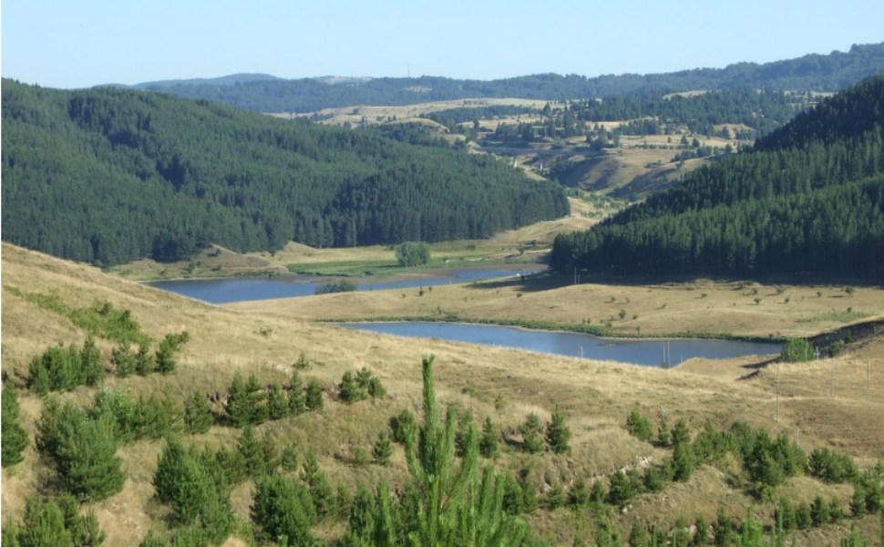 Goletta Dei Laghi Inquinato Un Punto Sull Angitola Entro I Limiti Gli