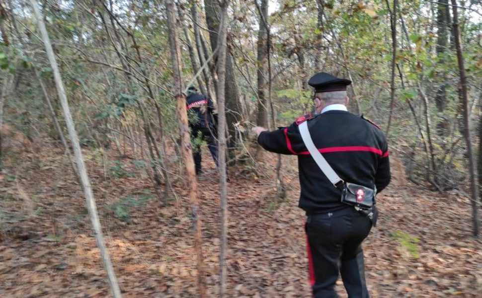 Va A Funghi E Si Perde Tra I Boschi Di Aprigliano Enne Di Rende