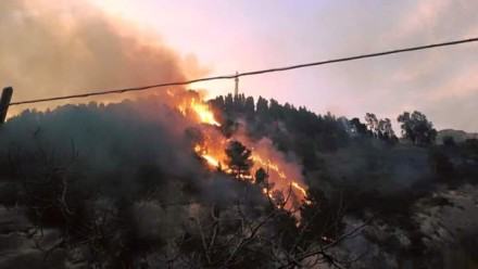 Belmonte: data alle fiamme la storica pineta che circonda il mausoleo