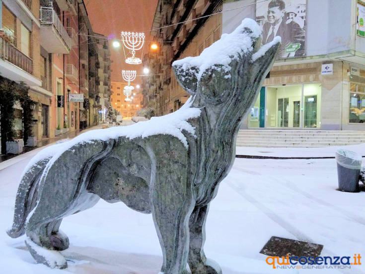 Il Lupo della Sila di Mimmo Rotella. Foto Wlady Nigro