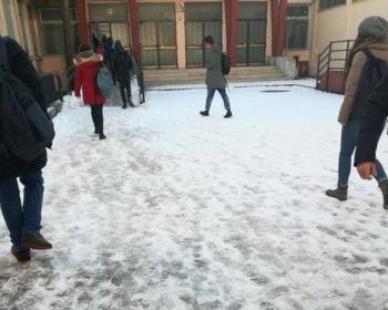 scuole ghiacciate2