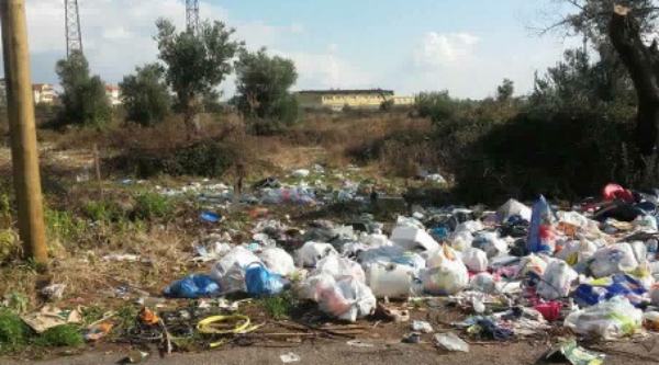 Lamezia Terme: CasaPound denuncia forte degrado in via 'Isaac Newton' 56 via newton lamezia 02