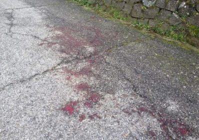 16508939_1056276081145082_3792676391350533442_n