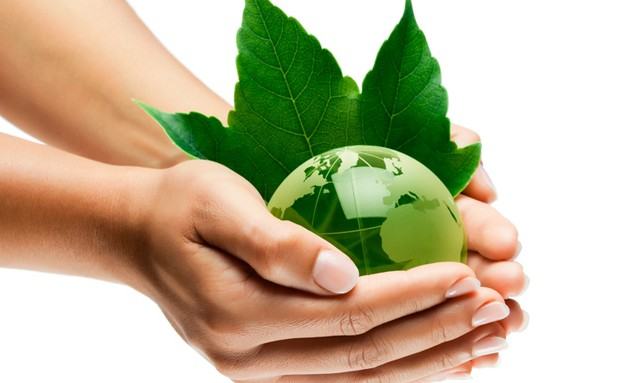 'Adotta un seme per far crescere un Albero', Campagna promossa dalle Riserve naturali regionali del lago di Tarsia e della Foce del Crati 56 AMBIENTE