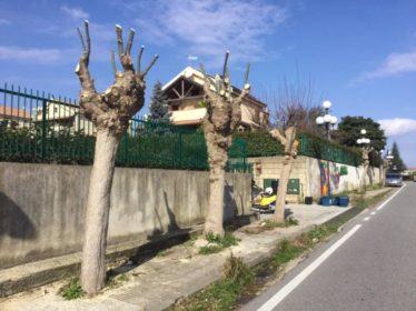 Capitozzature Via Botticelli - Rende