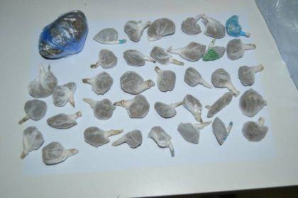 Spaccio di droga e detenzione illegale di armi: arrestato un 29enne nel cosentino 56 IMG-20170204-WA0019