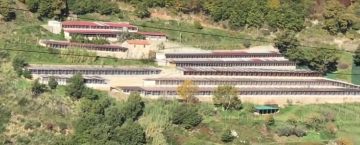 canile lager mendicino