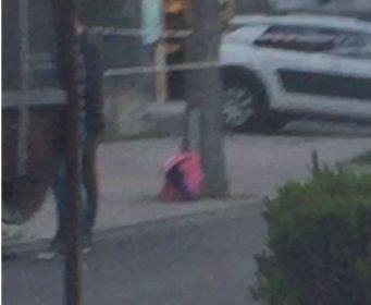 allarme bomba cosenza