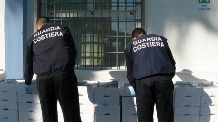 SAMSUNG DIGITAL MOVIE