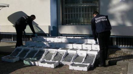 SAMSUNG DIGITAL MOVIE