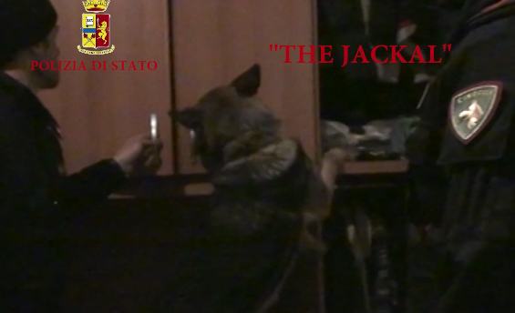 The Jackal 02