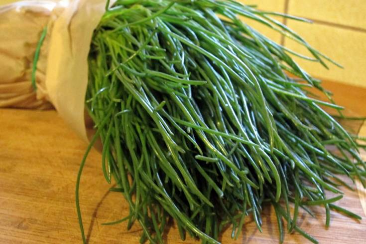 agretti 2