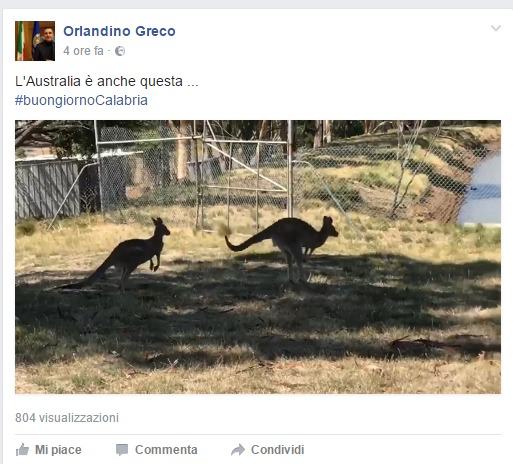 australia orlandino greco
