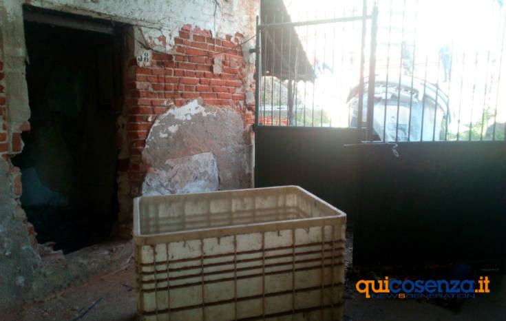 Cosenza: sequestrati un asino e una conceria in via Reggio Calabria, tra sporcizia e degrado (FOTO) 66 conceria via reggio calabria 3