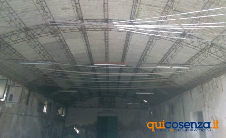 Cosenza: sequestrati un asino e una conceria in via Reggio Calabria, tra sporcizia e degrado (FOTO) 65 conceria via reggio calabria 4