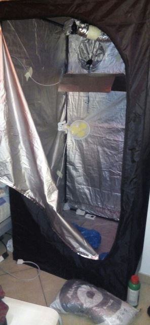 Impianto di coltivazione fai da te sequestrato dai CC di Rende il 06.04.2017.