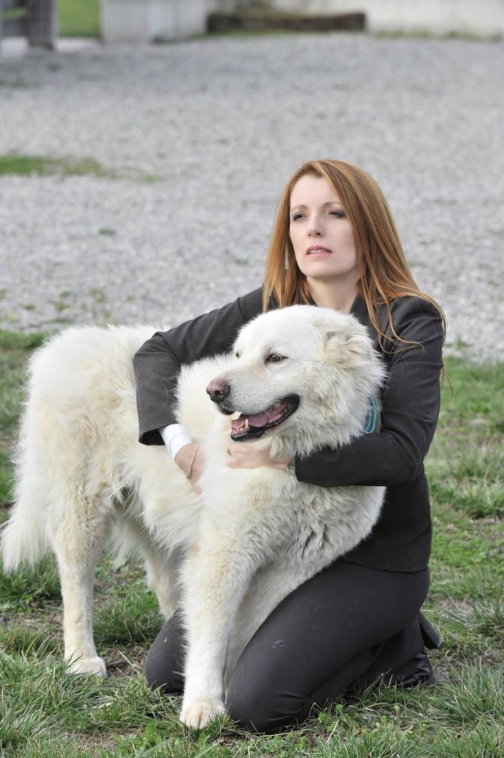 michela vittoria brambilla