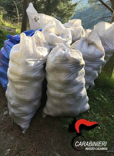 pigne carabinieri aspromonte