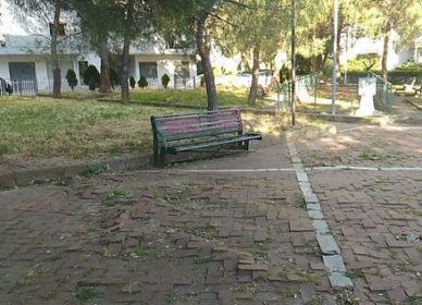 viale dei giardini (6)