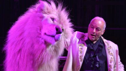 vinicio togni e pasha il leone bianco