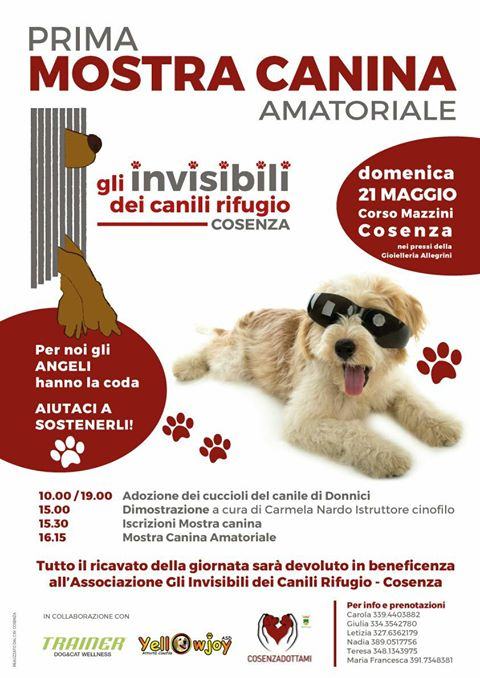 18216652_1129495057156517_2632749392331428107_o