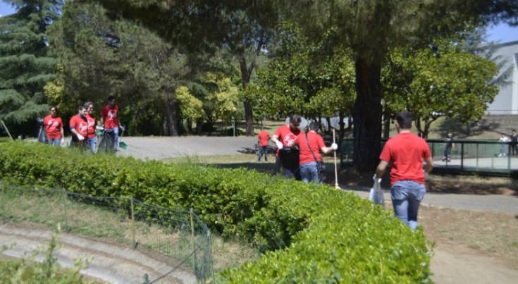 Rende Protagonista 1