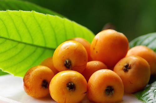 Nutri Menti – Maggio a tavola, tra verdure e frutta di stagione 60 nespole