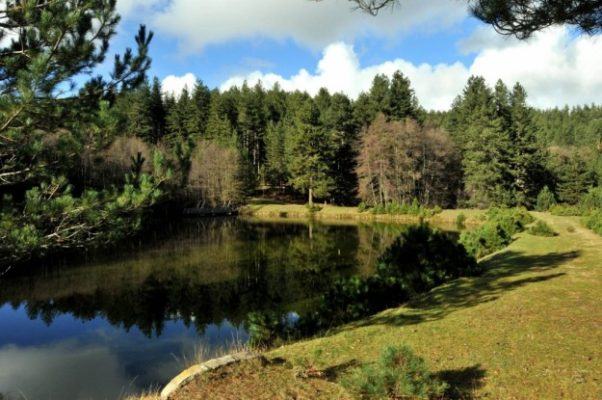 'Aree Protette Calabresi e Turismo Sostenibile' chiude il ciclo di appuntamenti 56 parco nazionale della sila