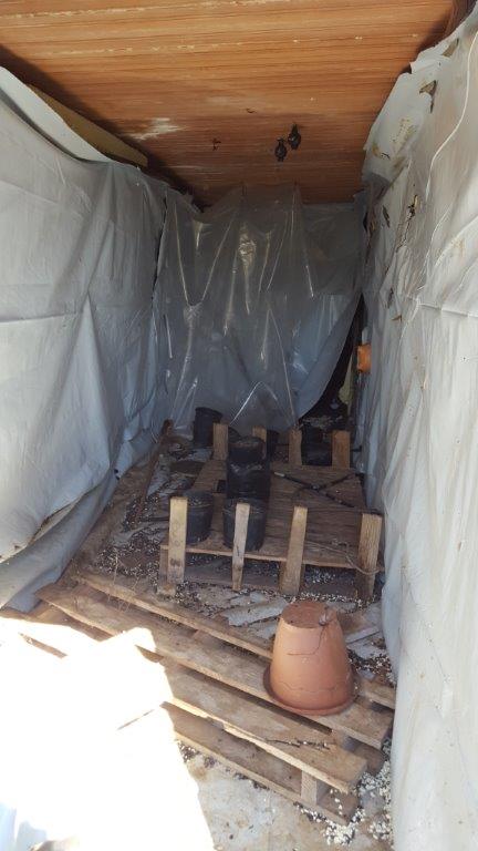 Interno del laboratorio