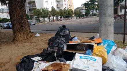 Spazzatura via Lupinacci1