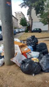 Spazzatura via Lupinacci3