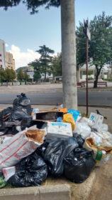 spazzatura via Lupinacci4