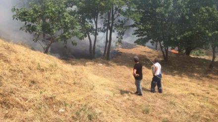 FOTONOTIZIA - Ancora incendi nell'area urbana di Cosenza (FOTO E VIDEO) 58 18d48973-8d60-4e5d-8bf9-19c4174c9aa5
