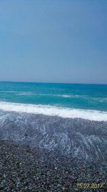 20132816_10210810419749566_104873474_o