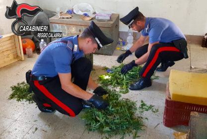 Cocaina, pistole e marijuana in un rudere senza alcun 'proprietario' (VIDEO) 63 20170718_100456