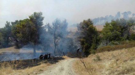 20245328_1895200800797866_2729844789434934874_n