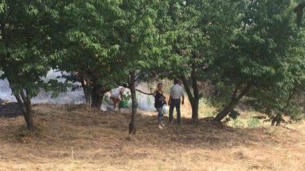 FOTONOTIZIA - Ancora incendi nell'area urbana di Cosenza (FOTO E VIDEO) 59 56489270-1e12-4e12-b9c8-a5d012375c1c