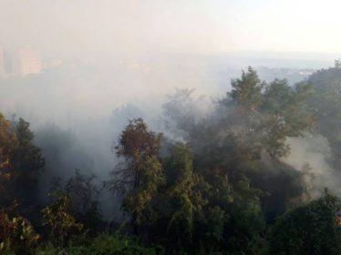 Incendio indomabile colpisce Catanzaro, a rischio due parchi pubblici 64 Incendio 1-1