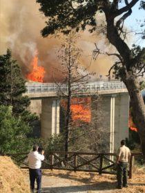 Incendio 1
