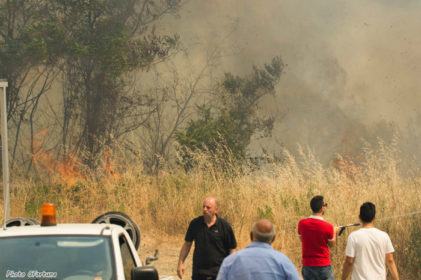 Rovito incendio1