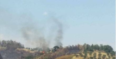 FOTONOTIZIA - Ancora incendi nell'area urbana di Cosenza (FOTO E VIDEO) 63 agostino