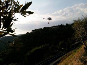 Incendio indomabile colpisce Catanzaro, a rischio due parchi pubblici 66 incendio 3-1