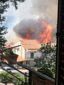 2017-08-01-PHOTO-00002815