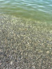 20793661_10212141075715087_90357917_o