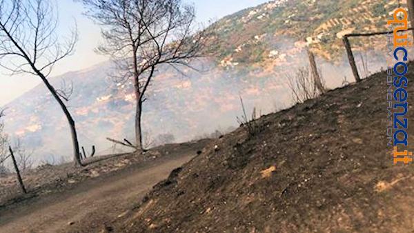 Incendio Luzzi1