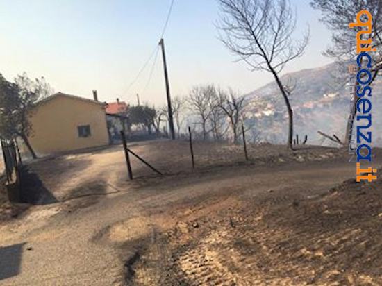 Incendio Luzzi2