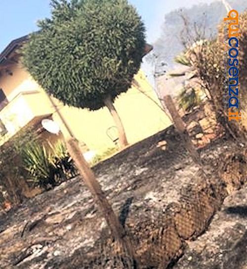 Incendio Luzzi4