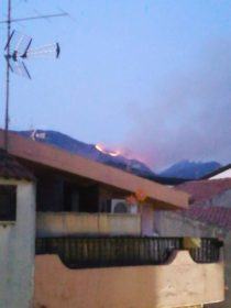 Gli incendi continuano a devastare la provincia di Cosenza. In fiamme la Sila e Vadue (FOTO) 73 diamante