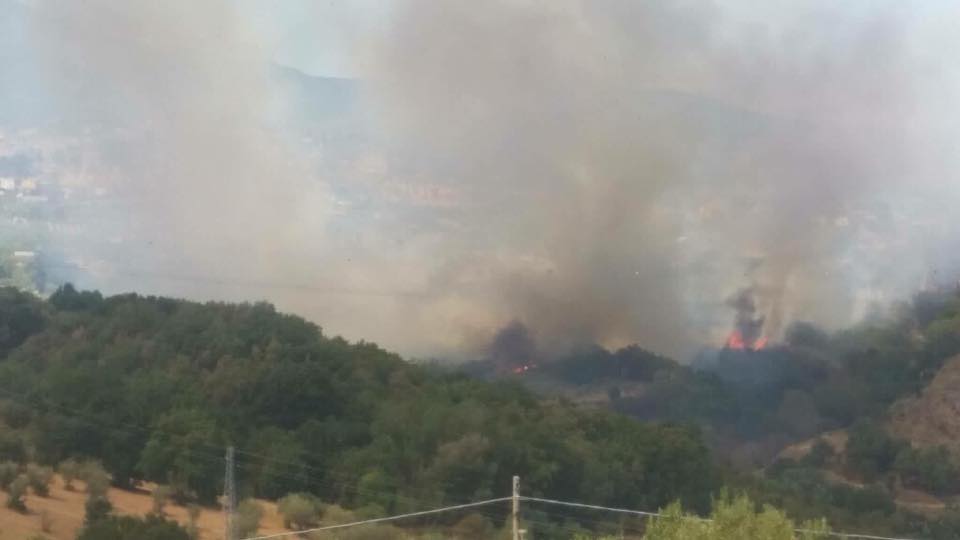lattarico incendio
